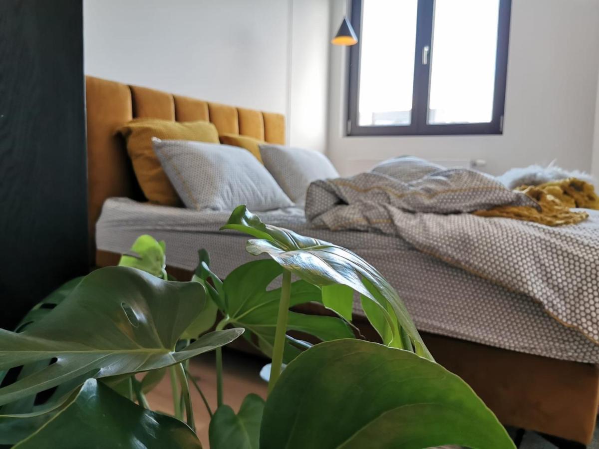 The Penthouse, Oasis Of Light And Inspiration Leilighet Antwerpen Eksteriør bilde